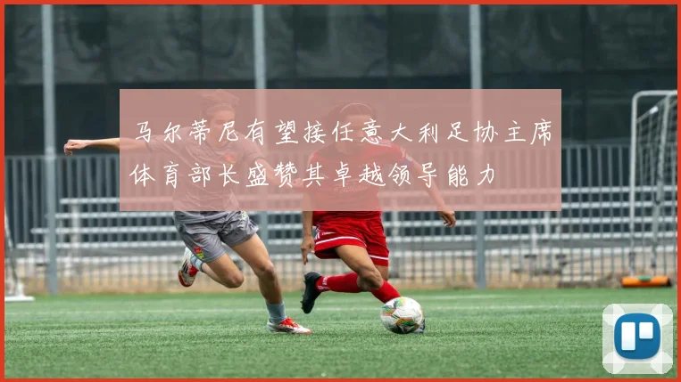 马尔蒂尼有望接任意大利足协主席体育部长盛赞其卓越领导能力