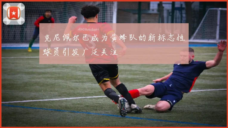 克尼佩尔已成为黄蜂队的新标志性球员引发广泛关注